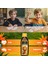 Kids Fish Oil | Çocuk Özel | Yüksek Balık Yağı: 1800, Omega 3:1206MG, EPA:180MG, DHA:900MG | 150ML 2