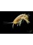 Kurutulmuş Karides (Gammarus) 100 gr 3