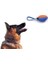 Köpek Diş Kaşıma Oyun Topu 4
