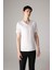 %100 Pamuk Slim Fit Dar Kesim V Yaka Basic Düz Kısa Kollu Beyaz Tişört M7668AZ24SP 11