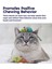 Catnip Chew Mice 2'li Kedi Oyuncağı Kedi Otlu 1