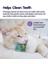 Catnip Chew Mice 2'li Kedi Oyuncağı Kedi Otlu 2