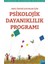 Okul Öncesi Çocuklar Için Psikolojik Dayanıklılık Programı - Naomi L. Baum 1