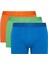 Regular Fit 3'lü Boxer B7953AX24SP 7