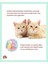 Renkli Kedi Oyuncak Isırmaya Dayanıklı Kedi Topu Kedi Oyuncak 3