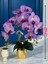 Yapay Orkide Premium Kalite Doğal Görünümlü Gold Metal Saksı Yapay Çiçek 55 cm Mor Lila Hediyelik Dekor 4
