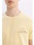 %100 Pamuk Slim Fit Dar Kesim Bisiklet Yaka Baskılı Kısa Kollu Tişört C3945AX24SM 12