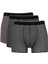 Regular Fit 3'lü Boxer C9558AX24WN 7
