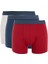 Regular Fit 3'lü Boxer C9560AX24WN 7