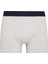 Regular Fit 3'lü Boxer C9572AX24CW 11