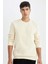 Regular Fit Bisiklet Yaka Kalın Basic Düz Sweatshirt T3777AZ24AU 7