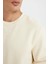 Regular Fit Bisiklet Yaka Kalın Basic Düz Sweatshirt T3777AZ24AU 11