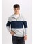 Comfort Regular Fit Rahat Kalıp Dik Yaka Fermuarlı Çizgili Kalın Sweatshirt 16