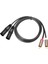 2rca Ila 2xlr 3 Çekirdekli Xlr Kablo Mikser Güç Amplifikatörü Aktif Hoparlör Mikrofon Ses Kablosu 3 Metre (Yurt Dışından) 1