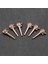 6pcs Ejderha Kafası Metal Akustik Gitar Köprü Pimleri Dizileri Sabit Koni (Yurt Dışından) 1