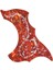 Renkli Çiçek ve Kuş Gitar Pickguard Dekoratif Kendi Kendini Viskozlu Çıkartma Ipi Gitar Koruma Koruma Yaması (Yurt Dışından) 1
