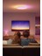 Govee Rgbıc Tavan Lambası, 48,5 W, Akıllı LED & Arka Aydınlatmalı 3
