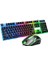 Bgrgkms Gaming Aydınlatmalı Klavye + Mouse Q Set 1