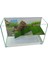 Su Kaplumbağası Akvaryumu Bahçeli Rampalı Dinlenme 50X30X25 cm Arka Plan Hediyeli 3