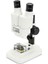 Celestron Labs - Binoküler Stereo Mikroskop - 20X Büyütme - Üst LED Aydınlatması - 2 Numun 1