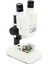 Celestron Labs - Binoküler Stereo Mikroskop - 20X Büyütme - Üst LED Aydınlatması - 2 Numun 2