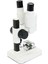 Celestron Labs - Binoküler Stereo Mikroskop - 20X Büyütme - Üst LED Aydınlatması - 2 Numun 4