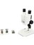 Celestron Labs - Binoküler Stereo Mikroskop - 20X Büyütme - Üst LED Aydınlatması - 2 Numun 5