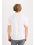 %100 Pamuk Regular Fit Bisiklet Yaka Baskılı Kısa Kollu Tişört D5576AX25SP 10