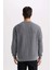 Gri Regular Fit Bisiklet Yaka Jakarlı Sweatshirt D5392AX24AU 12