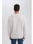 3 İplik Pamuklu Şardonlu İçi Polarlı Regular Fit Bisiklet Yaka Kalın Sweatshirt D7876AXNS 20