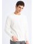 Regular Fit Bisiklet Yaka Dokulu Jakarlı Sweatshirt 7