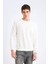 Regular Fit Bisiklet Yaka Dokulu Jakarlı Sweatshirt 10