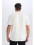 Regular Fit Polo Yaka Yarım Fermuarlı Kısa Kollu Tişört D7227AX25SP 12