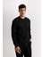 Regular Fit Bisiklet Yaka Jakarlı Sweatshirt 9