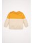 Erkek Bebek %100 Pamuk Bisiklet Yaka Renk Bloklu İçi Yumuşak Tüylü Sweatshirt A9753A524Wn 10