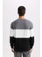 Regular Fit Bisiklet Yaka Jakarlı Sweatshirt D5393AX24AU 12