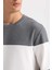 Regular Fit Bisiklet Yaka Jakarlı Sweatshirt D5393AX24AU 11