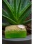 Cildinize Aşk Katan Aloe Vera Kabak Lifli Sabun 1