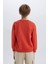 Erkek Çocuk Bisiklet Yaka Baskılı Sweatshirt D7712A825SP 12