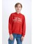 Erkek Çocuk Oversize Geniş Kalıp Kapüşonlu Baskılı Sweatshirt D7399A825SP 15