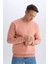 Regular Fit Bisiklet Yaka Kalın Basic Düz Sweatshirt T3777AZ25SP 9