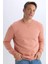 Regular Fit Bisiklet Yaka Kalın Basic Düz Sweatshirt T3777AZ25SP 10