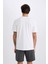%100 Pamuk Regular Fit Bisiklet Yaka Baskılı Kısa Kollu Tişört D7939AX25SP 12