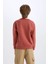 Erkek Çocuk Bisiklet Yaka Baskılı İçi Yumuşak Tüylü Sweatshirt D6209A824CW 15