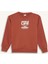 Erkek Çocuk Bisiklet Yaka Baskılı İçi Yumuşak Tüylü Sweatshirt D6209A824CW 16