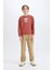 Erkek Çocuk Bisiklet Yaka Baskılı İçi Yumuşak Tüylü Sweatshirt D6209A824CW 11