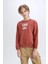 Erkek Çocuk Bisiklet Yaka Baskılı İçi Yumuşak Tüylü Sweatshirt D6209A824CW 13