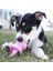 Zengezur Kong Puppy Yavru Köpek Diş Kaşıma Emzik M 13,5cm 2