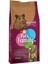 Zengezur Pets Famıly Hamster Yemi 800G 1