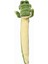 Zengezur Pawise Stick Gator Peluş Oyuncak 1